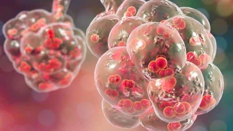 Could Mold be the Cause or Aggravator of Your Respiratory Infection Symptoms?