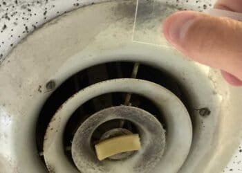 DIY Mold Testing: Temporary Solution or Reliable Diagnosis?