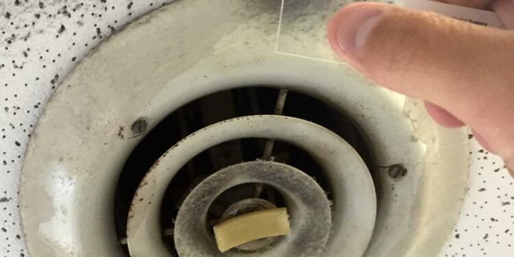 DIY Mold Testing: Temporary Solution or Reliable Diagnosis?