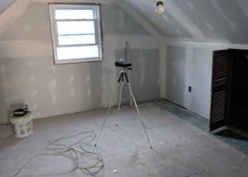 Taking the Next Steps After a DIY Mold Test: When and How to Seek Professional Advice