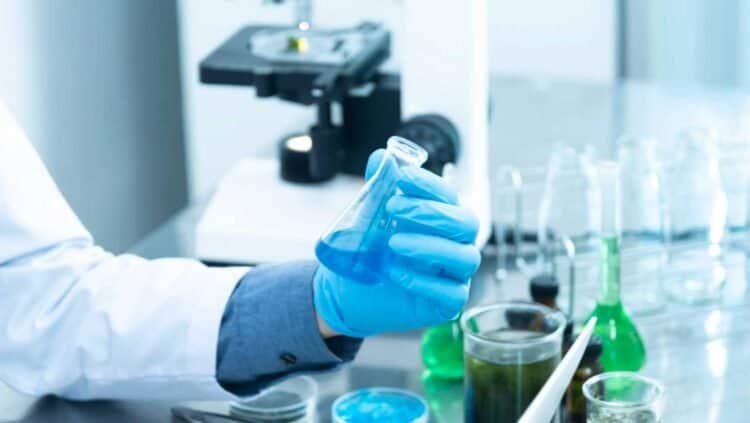 The Science of Mold Detection: A Comparison of DIY Tests and Professional Assessments