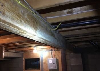 Why Professional Mold Inspections Can Uncover What DIY Tests Cannot: Going Beyond the Surface